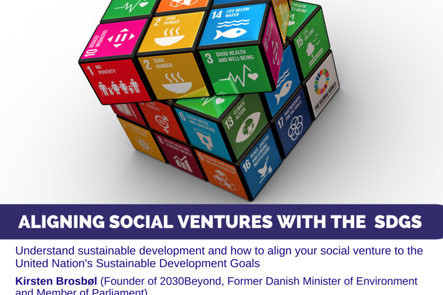 Aligning Social Ventures With The SDGs